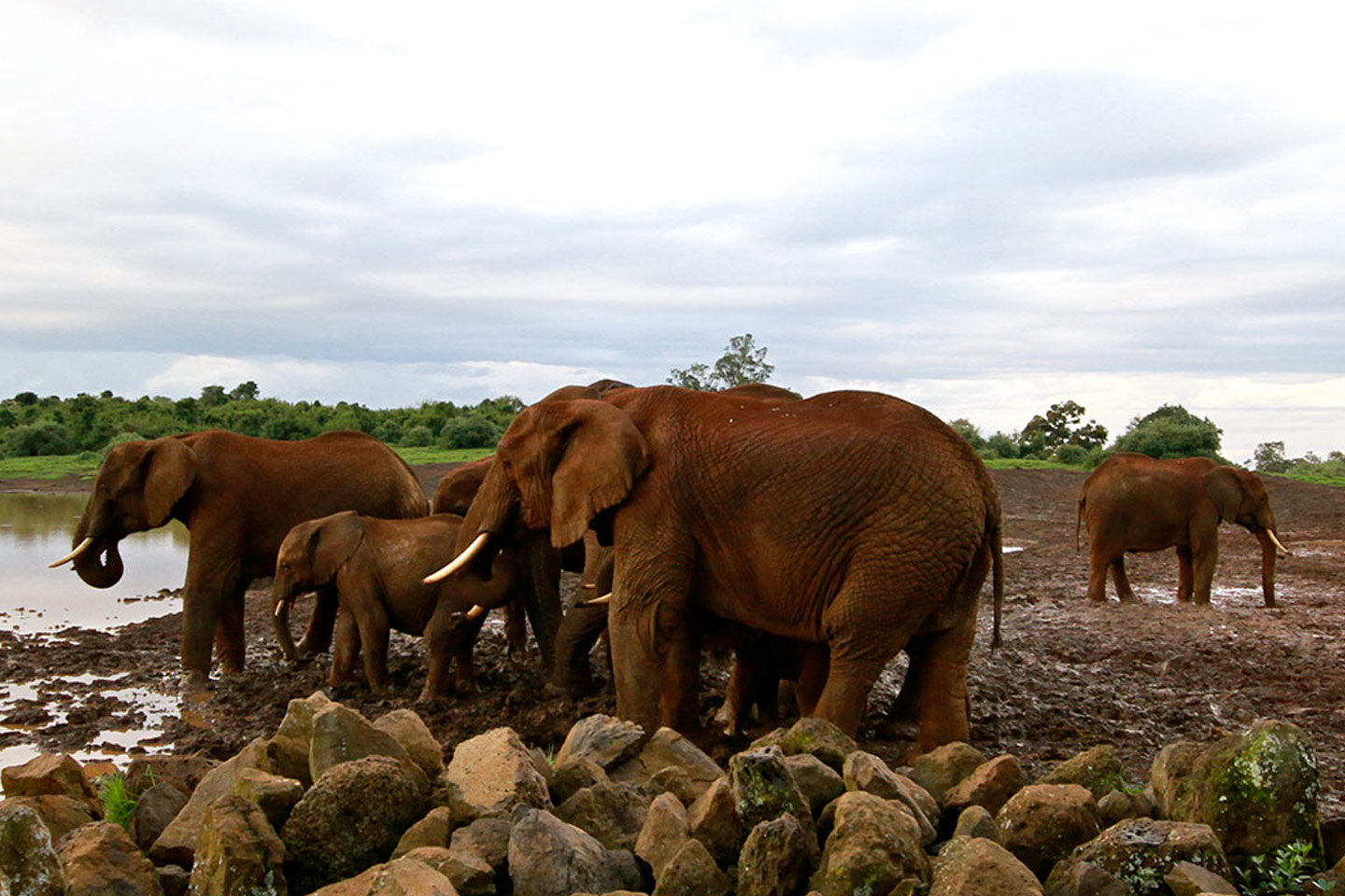 Aberdares National Park
