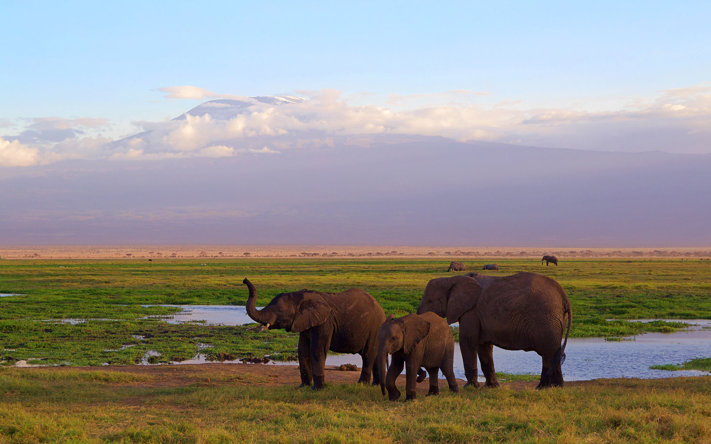 Amboseli National Park