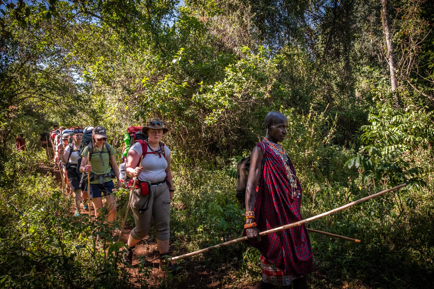 Walking Safari in Loita Hills