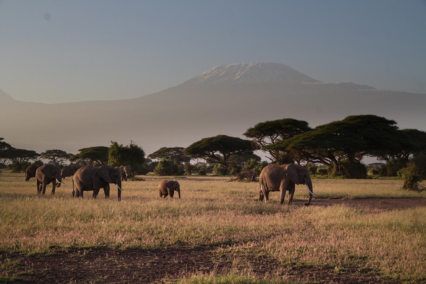 Amboseli National Park