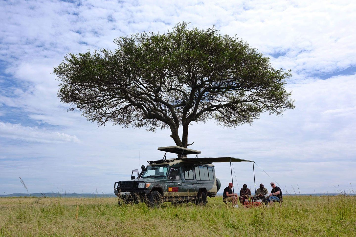 Scenic Tree - Maasai Loita Tours