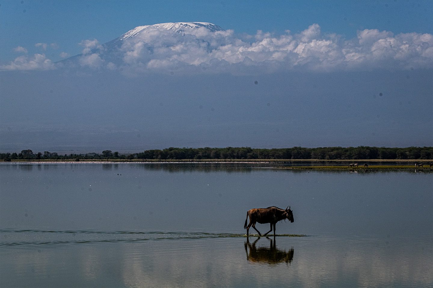 Amboseli National Park